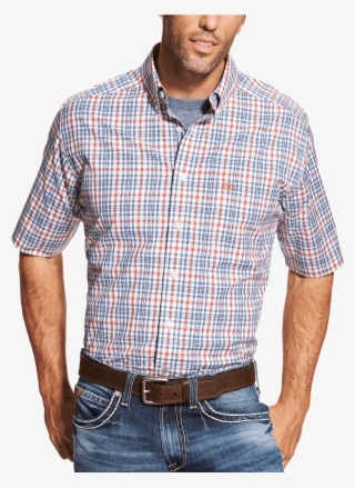 10019682 - Plaid #8387658