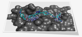 Binding Pockets & Pocket-ligand Datasets - Pymol Shape Binding Pocket #8388019