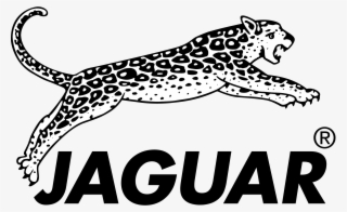 Jaguar Logo Hairdressing - Jaguar Hair Logo #8388093