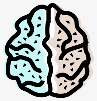 Vector Illustration Of Human Brain Left And Right Hemisphere #8392690 Vector Illustration Of Human Brain Left And Right Hemisphere #8392690