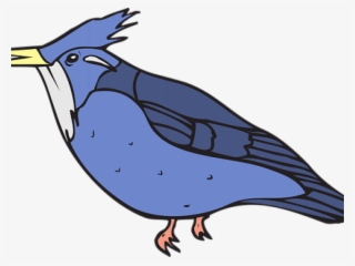 Blue Jay Clipart Bir - Kingfisher Coloring Page #8392730
