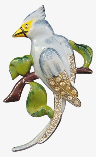 Enamel And Rhinestone Blue Jay Bird Brooch - Jay #8393295