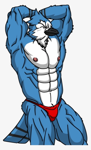 Blue Jay - Illustration #8393545