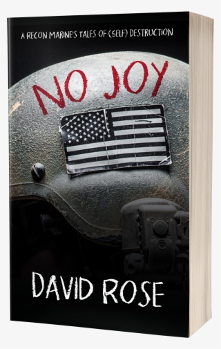 A Recon Marine's Tales Of Destruction - Book Cover #8394728