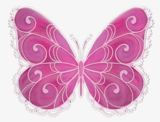 Butterfly, Vector, Pink, Colorful #8395918