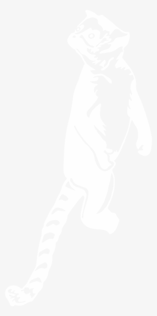 Boca Lemur Logo - Amtrak Logo White #8395982