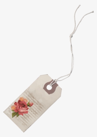 Garden Roses #8396014