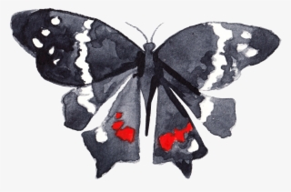 Black Ink Butterfly Transparent Decorative - Papilio #8396101