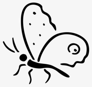 Vector Illustration Of Colorful Butterfly Winged Insect - Line Art #8396324