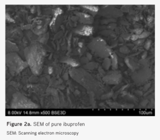 Under High Magnification, It Was Further Observed That - Monochrome #8397654