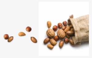 Ingredients For Bread & European Style Bakery Products - Baking #841515