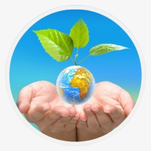 Forgin Casting Rajkot - School #842091