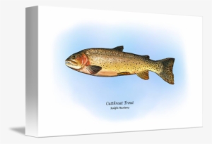 Clipart Royalty Free Library Cutthroat By Ralph Martens - Gallery-wrapped Canvas Art Print 16 X 9 Entitled Cutthroat #842273 Clipart Royalty Free Library Cutthroat By Ralph Martens - Gallery-wrapped Canvas Art Print 16 X 9 Entitled Cutthroat #842273