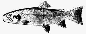 Fish Computer Icons Trout Line Art Abel Automatics, - Clip Art #842333