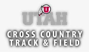 Utah Utes Die Cut Color Decal 8in X 8in #842461