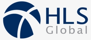 Hls Global Accounting Firm Logo - Global Logo Internet Company #842733