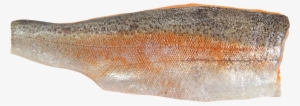 Fillet Fish Food Png - Sea Trout Fillet #843133