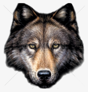 Wolf Head Png - Da Saga Crepusculo Jacob Lobo #843134