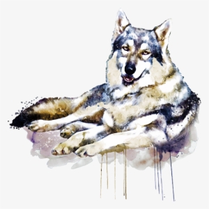 Click And Drag To Re-position The Image, If Desired - Watercolor Painting #843135