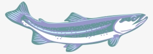 Trout, Clip Art, Purple, Blue, White, Speckled, Curved - Blue #843422