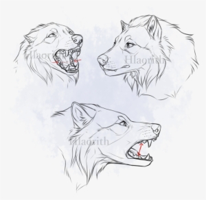 Tokota Faces By Hlaorith - Drawing #843576