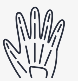 Xray3 - Logo #844140