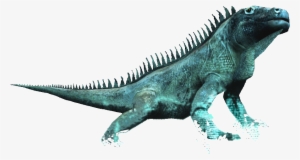 Ac4db - Iguana - Assassin Creed Black Flag Iguana #844722