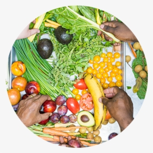 Tell Us What You Eat - Portable Network Graphics #845012