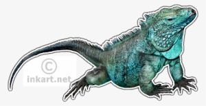Grand Cayman Blue Iguana Decal - Iguanas Of Madagascar Transparent #845033