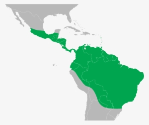 Iguana Iguana Distribution Map - Green Iguana Range Map #845247