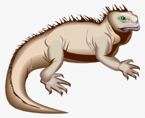 Green Iguana Clipart Hole - Marine Iguana Animated #845270