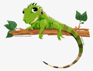 Iguana Png #845306