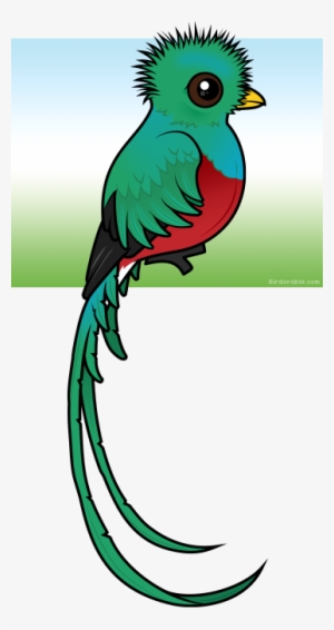Quetzal Clipart Baby - Clip Art Quetzal #845361