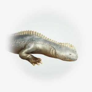 Blue Lizard - Icon #845528