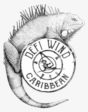 Iguana Bloc010 1 - Defi Wind 2017 #845582