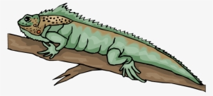 Iguana Clipart - Bearded Dragon Lizard Clipart #845672