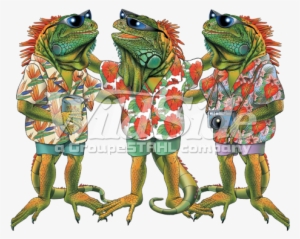 3 Iguanas - Iguana #845818