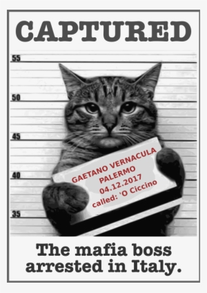 Medium Image - Christmas Cute Animals Funny #846953