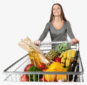 Grocery Shopping Cart Png Image Background - Grocery Shopping Cart Png #847719 Grocery Shopping Cart Png Image Background - Grocery Shopping Cart Png #847719