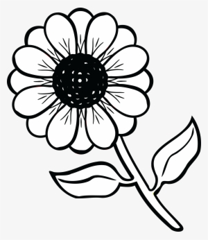Free Clipart Of A Daisy Flower - Black And White Clip Art Flower #848321