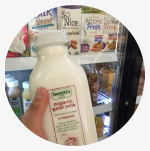 Grocery - Urban Bulk Emporium #848880