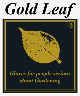 World Renowned Gold Leaf Gloves Are Presented By Jayco, - Knight Piesold #8400464