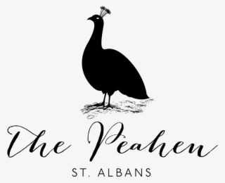 Make A Booking Enquiry - Erin #8401075