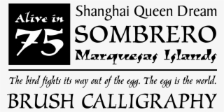 Web Typography Essentials #8402881