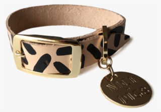 Tiggy Collar - Nice Digs Dog Collar #8403411