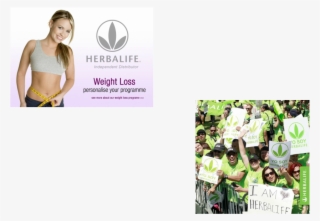 Picture - Herbalife #8404002
