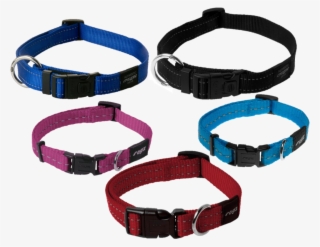 Dog Collar Png - Rogz Collars #8404043