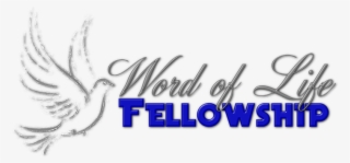 Blue Silver - Dove #8404744