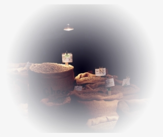 Still Life Photography #8405094