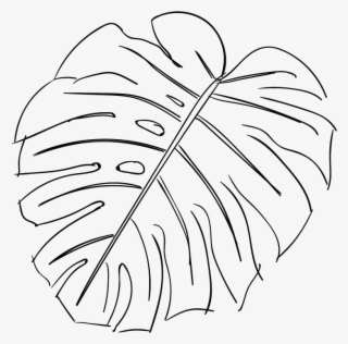 Line Drawing Of A Leaf At Getdrawings - Line Art #8405384